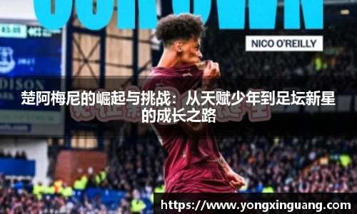 好博(中国)体育